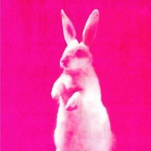 Meet your Posher, Chloe